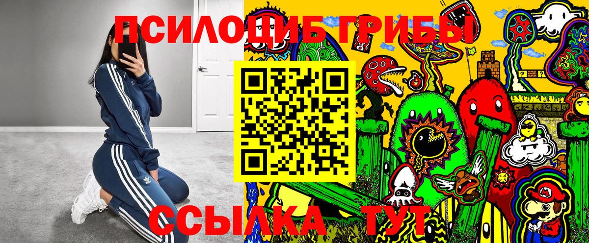 Псилоцибиновые грибы Psilocybine cubensis  Вход с VPN  Хасавюрт 